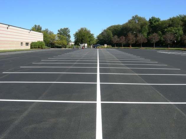 Rows of white parking bay lines on a sunny asphalt car park with trees along its edge